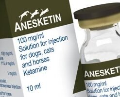 Ketamine Anesket 1000mg/10ml