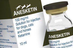 Ketamine Anesket 1000mg/10ml Ketamine Anesket 1000mg/10ml